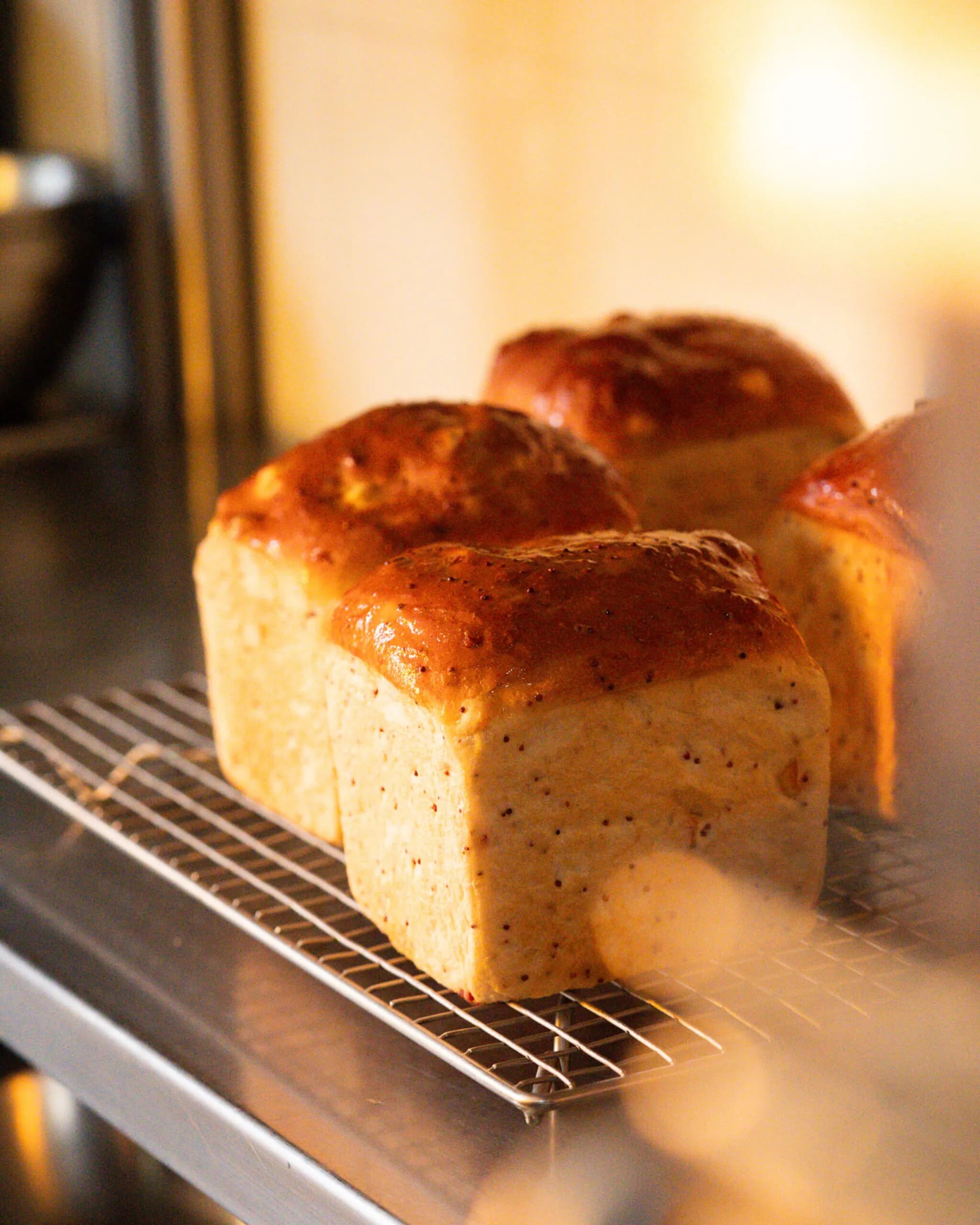 Basics in bread